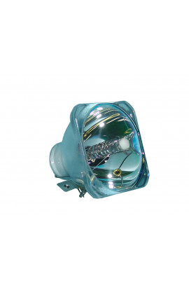 IBM 33L3456 ECL-4669-CB LAMPADA COMPATIBILE SENZA SUPPORTO (SOLO BULBO)
