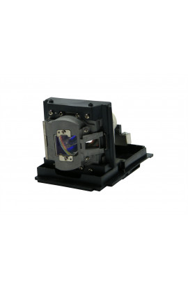 INFOCUS SP-LAMP-055 SP-LAMP-067 ECL-4694-PG CARTUCCIA LAMPADA COMPATIBILE CON BULBO ORIGINALE CON SUPPORTO