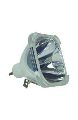 KODAK 890-0995 ECL-4766-BO/P LAMPADA PHILIPS SENZA SUPPORTO (SOLO BULBO)