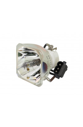 LIESEGANG ZU1240044010 ECL-4811-BO/U LAMPADA USHIO SENZA SUPPORTO (SOLO BULBO)