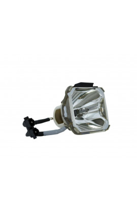 LIESEGANG ZU0296044010 ECL-4814-BO/U LAMPADA USHIO SENZA SUPPORTO (SOLO BULBO)