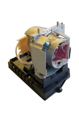NEC NP19LP, 60003129 ECL-4959-OM CARTUCCIA LAMPADA ORIGINALE CON SUPPORTO
