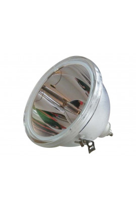SAMSUNG BP96-00608A, BP96-00837A ECL-5612-BO/O LAMPADA OSRAM SENZA SUPPORTO (SOLO BULBO)