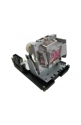 INFOCUS SP-LAMP-065 ECL-5628-PG CARTUCCIA LAMPADA COMPATIBILE CON BULBO ORIGINALE CON SUPPORTO