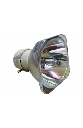 BENQ 5J.J3L05.001 ECL-5639-BO/P LAMPADA PHILIPS SENZA SUPPORTO (SOLO BULBO)