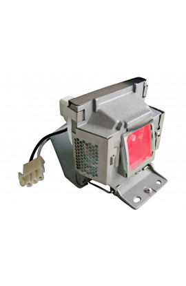 VIEWSONIC RLC-055 ECL-5718-PG CARTUCCIA LAMPADA COMPATIBILE CON BULBO ORIGINALE CON SUPPORTO