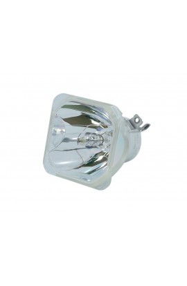 PROMETHEAN PRM30-LAMP ECL-5756-BO/U LAMPADA USHIO SENZA SUPPORTO (SOLO BULBO)