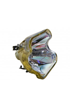 DUKANE 456-8101H ECL-5915-BO/O LAMPADA OSRAM SENZA SUPPORTO (SOLO BULBO)