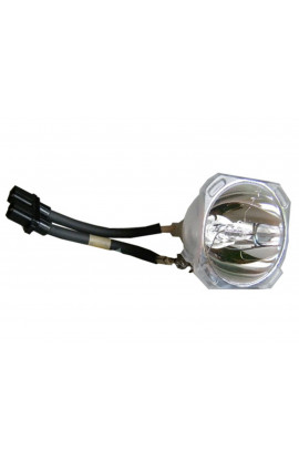 ROVERLIGHT LAMP#2005 ECL-6005-BO/X LAMPADA PHOENIX SENZA SUPPORTO (SOLO BULBO)