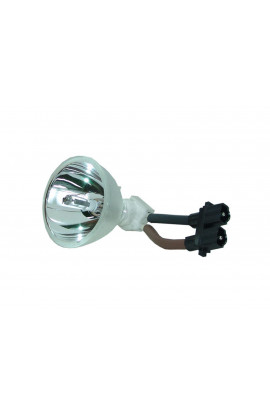 SAVILLE AV LAMP#2015 ECL-6015-BO/X LAMPADA PHOENIX SENZA SUPPORTO (SOLO BULBO)