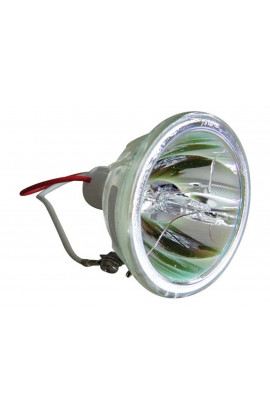 DEPTHQ SP-LAMP-018 ECL-6140-BO/X LAMPADA PHOENIX SENZA SUPPORTO (SOLO BULBO)