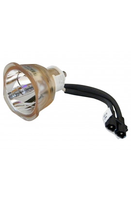 LG AJ-LAN1, 6912B22008B ECL-6191-BO/U LAMPADA USHIO SENZA SUPPORTO (SOLO BULBO)
