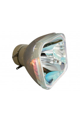 TEQ DT01381, CPA222WNLAMP ECL-6524-BO/P LAMPADA PHILIPS SENZA SUPPORTO (SOLO BULBO)