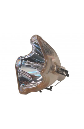 PROMETHEAN 610 332 3855, POA-LMP106 ECL-6544-BO/P LAMPADA PHILIPS SENZA SUPPORTO (SOLO BULBO)