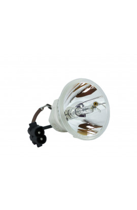 RICOH IPSiO LAMP TYPE 1, 308772, 431027 ECL-6560-BO/U LAMPADA USHIO SENZA SUPPORTO (SOLO BULBO)