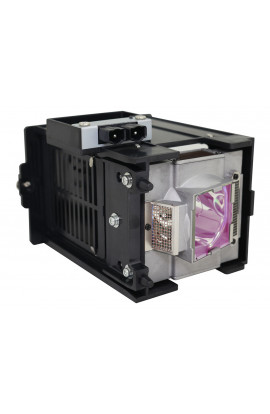 NEC NP-10LP01 ECL-65794-OM CARTUCCIA LAMPADA ORIGINALE CON SUPPORTO