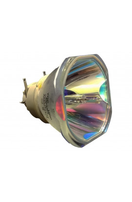 EIKI 22040012 ECL-65854-BO/P LAMPADA PHILIPS SENZA SUPPORTO (SOLO BULBO)