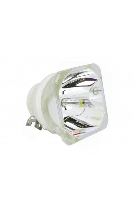 NEC NP23LP ECL-7004-BO/U LAMPADA USHIO SENZA SUPPORTO (SOLO BULBO)