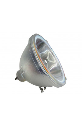 CLARITY 151-1063 ECL-7388-BO/P LAMPADA PHILIPS SENZA SUPPORTO (SOLO BULBO)