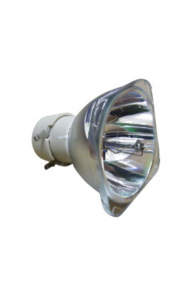 OPTOMA SP.8VC01GC01 BL-FU190E ECL-7620-BO/P LAMPADA PHILIPS SENZA SUPPORTO (SOLO BULBO)