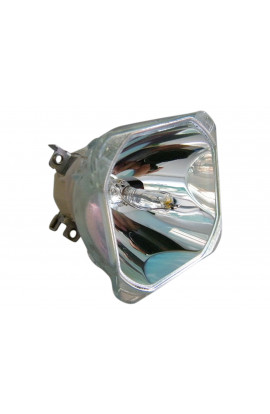 ACTO 3700161500 ECL-8024-BO/U LAMPADA USHIO SENZA SUPPORTO (SOLO BULBO)