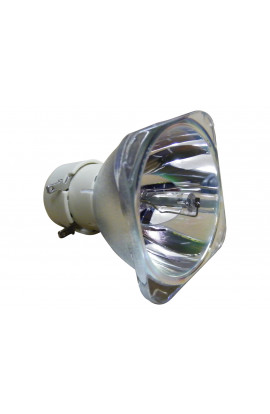 LEICA D-1200 LAMP ECL-8058-BO/P LAMPADA PHILIPS SENZA SUPPORTO (SOLO BULBO)