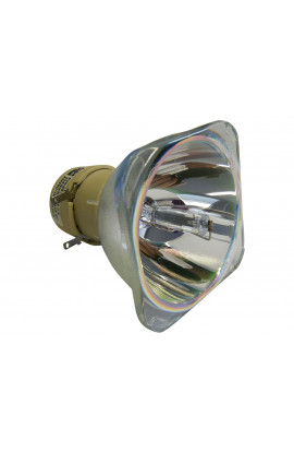 PHILIPS SCREENEO 2.0 LAMP ECL-8265-BO/P LAMPADA PHILIPS SENZA SUPPORTO (SOLO BULBO)