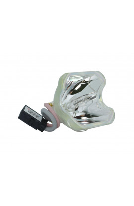   ECL-1662-SHP LAMPADA PHOENIX SENZA SUPPORTO (SOLO BULBO)