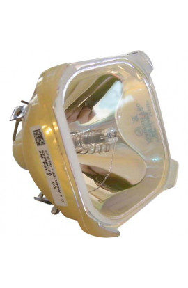   ECL-1689-UHP LAMPADA PHILIPS SENZA SUPPORTO (SOLO BULBO)