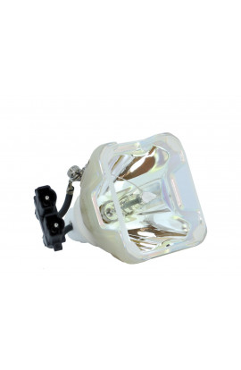   ECL-1920-SHP LAMPADA PHOENIX SENZA SUPPORTO (SOLO BULBO)