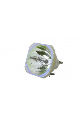   ECL-1963-UHP LAMPADA PHILIPS SENZA SUPPORTO (SOLO BULBO)
