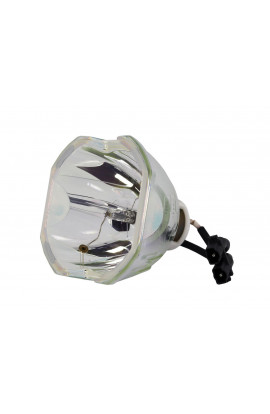   ECL-1990-NSH LAMPADA USHIO SENZA SUPPORTO (SOLO BULBO)