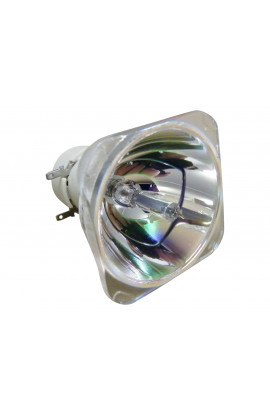   ECL-2010-UHP LAMPADA PHILIPS SENZA SUPPORTO (SOLO BULBO)