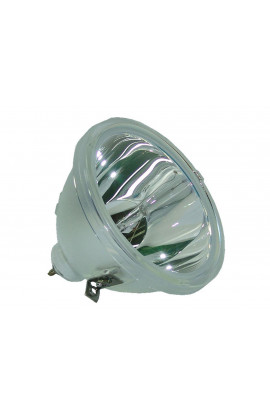  ECL-2068-UHP LAMPADA PHILIPS SENZA SUPPORTO (SOLO BULBO)