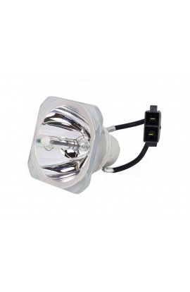   ECL-64916-SHP LAMPADA PHOENIX SENZA SUPPORTO (SOLO BULBO)