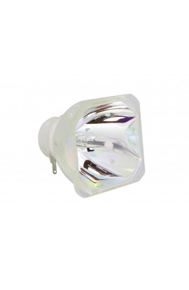   ECL-64917-SHP LAMPADA PHOENIX SENZA SUPPORTO (SOLO BULBO)
